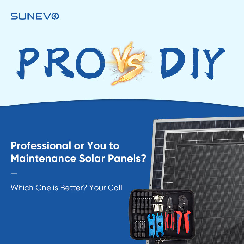 Professional Solar Maintenance vs. DIY Care